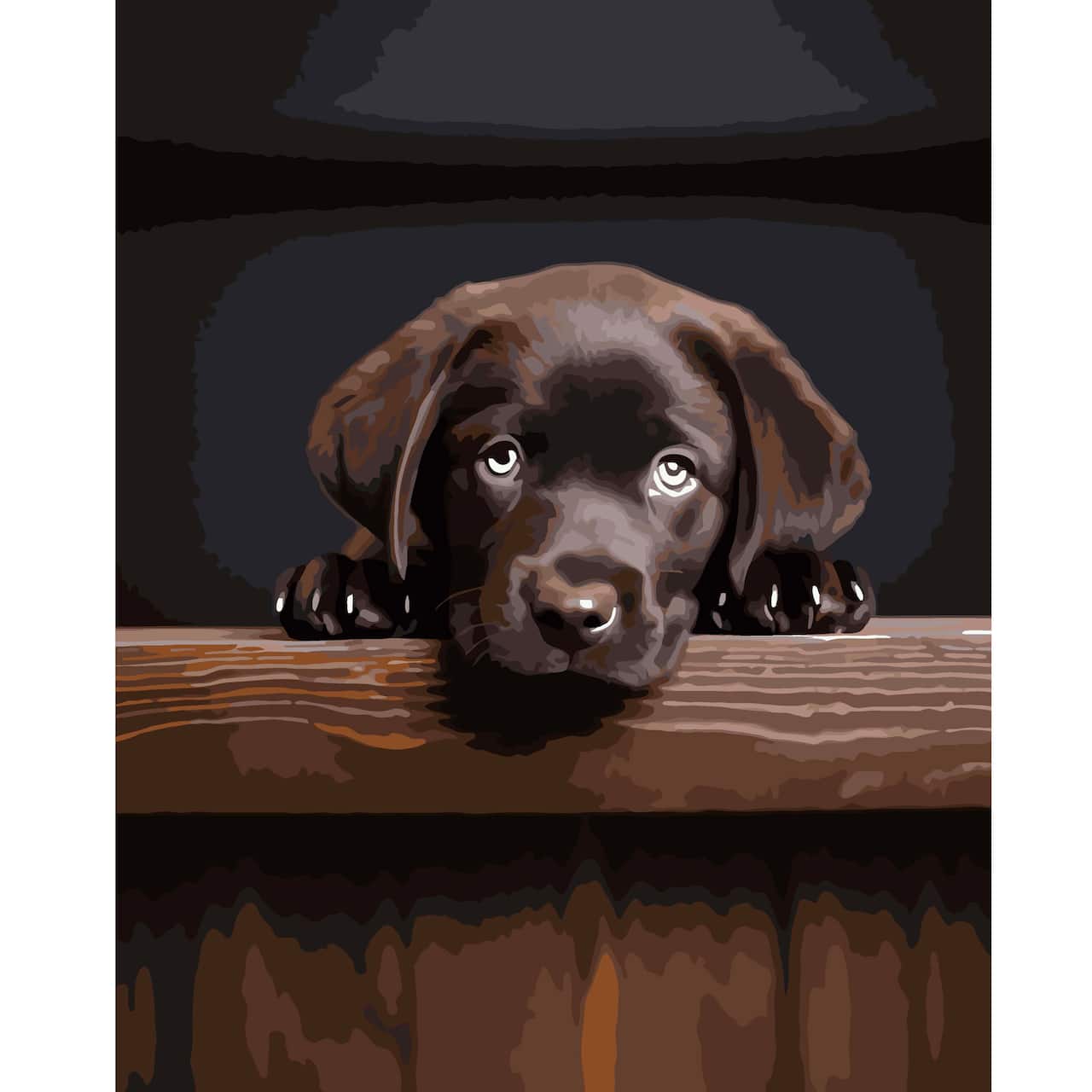 16" x 20" Black Lab Paint-by-Number Kit by Artist's Loft®